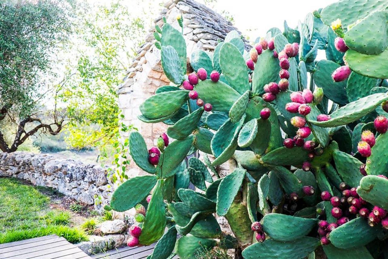 Masseria Trulli&Stelle B&B Noci Exterior photo